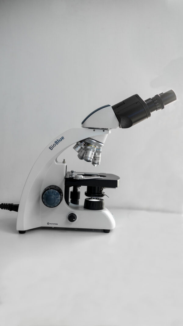 MICROSCOPIO BINOCULAR 4260 EUROMEX - Imagen 2