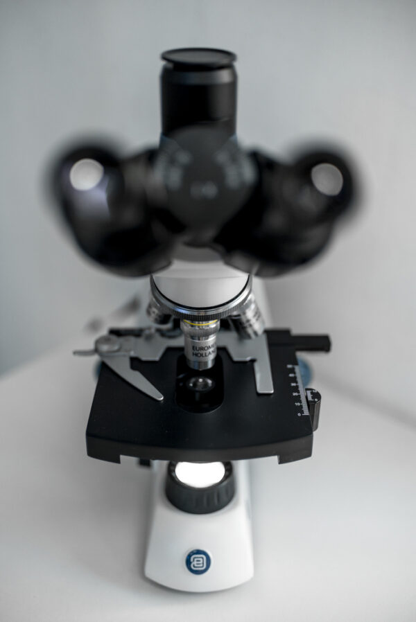 MICROSCOPIO BINOCULAR 4260 EUROMEX - Imagen 3