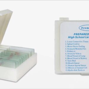 LAMINAS PREPARADAS PARA MICROSCOPIO