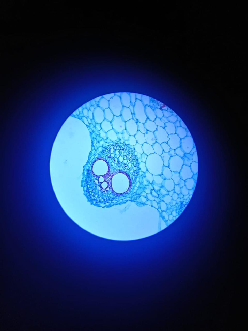 SOPORTE PARA TELEFONO CON OCULAR - Imagen 3