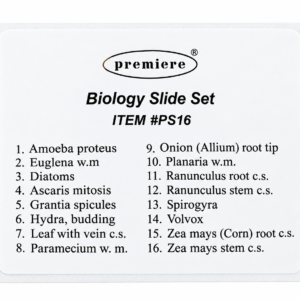 LAMINA PREPARADA PS16 SET DE BIOLOGIA